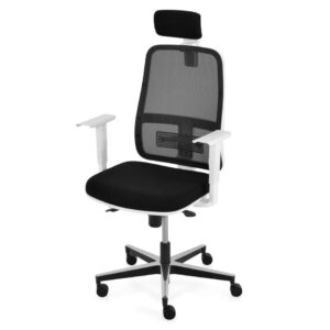 Scaune ergonomice pentru birouri